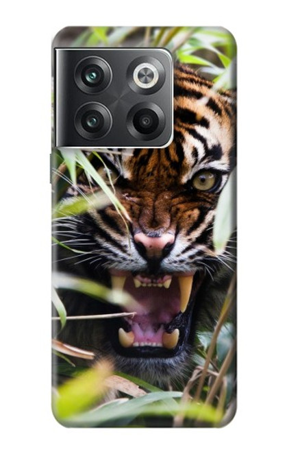 S3838 Tigre du Bengale qui aboie Etui Coque Housse pour OnePlus Ace Pro