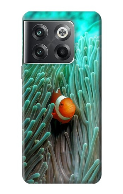 S3893 Poisson-clown Ocellaris Etui Coque Housse pour OnePlus Ace Pro