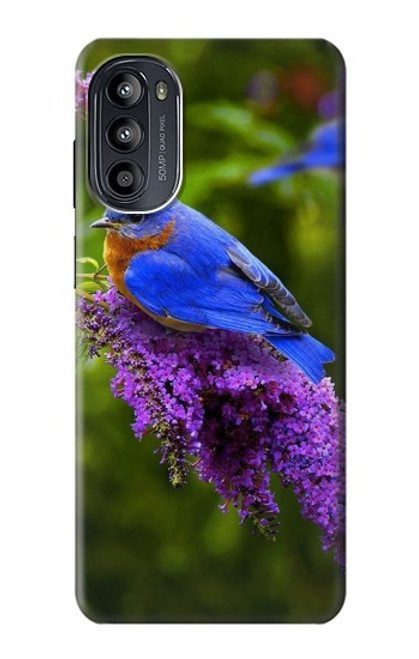 S1565 Oiseau bleu de bonheur Bleu Oiseau Etui Coque Housse pour Motorola Moto G52, G82 5G