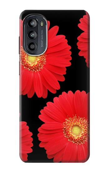 S2478 fleur rouge Daisy Etui Coque Housse pour Motorola Moto G52, G82 5G