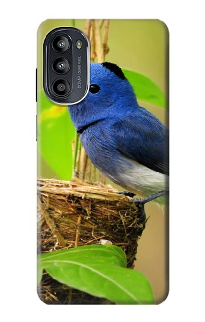 S3839 Oiseau bleu du bonheur Oiseau bleu Etui Coque Housse pour Motorola Moto G52, G82 5G