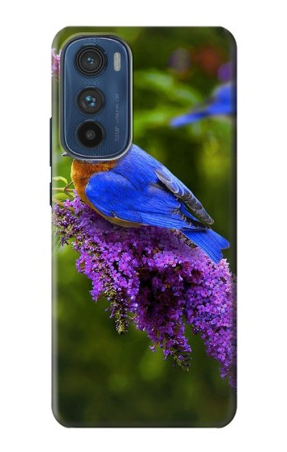 S1565 Oiseau bleu de bonheur Bleu Oiseau Etui Coque Housse pour Motorola Edge 30