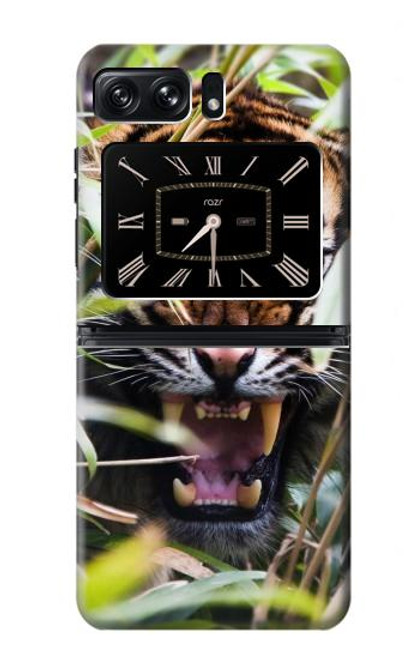 S3838 Tigre du Bengale qui aboie Etui Coque Housse pour Motorola Moto Razr 2022