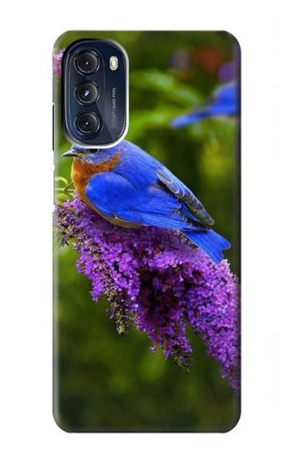 S1565 Oiseau bleu de bonheur Bleu Oiseau Etui Coque Housse pour Motorola Moto G 5G (2023)