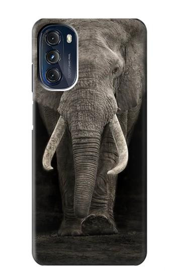 S3496 éléphant d'Afrique Etui Coque Housse pour Motorola Moto G 5G (2023)