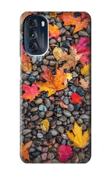 S3889 feuille d'érable Etui Coque Housse pour Motorola Moto G 5G (2023)