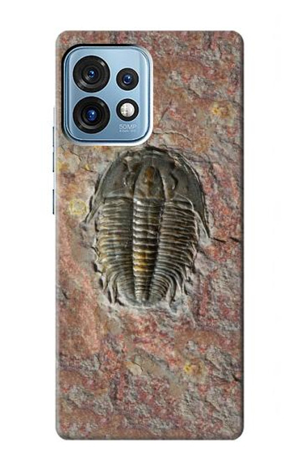 S1454 trilobite Fossile Etui Coque Housse pour Motorola Edge+ (2023), X40, X40 Pro, Edge 40 Pro