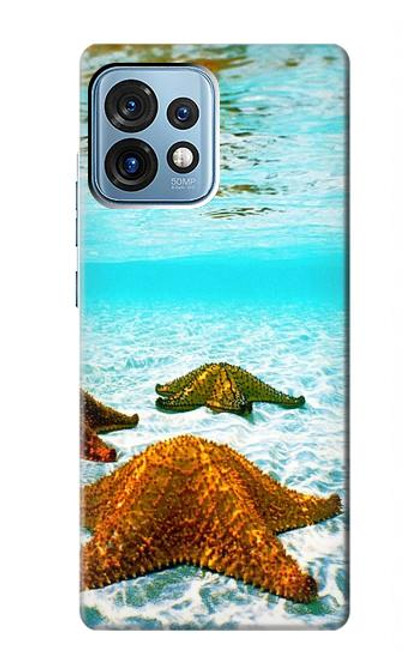 S1679 Étoile de mer plage de la mer Etui Coque Housse pour Motorola Edge+ (2023), X40, X40 Pro, Edge 40 Pro