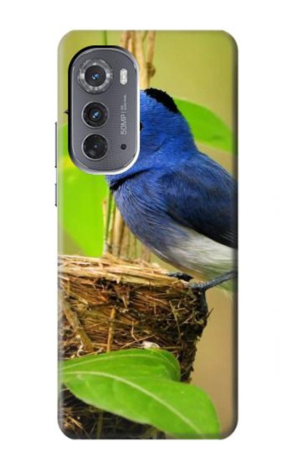 S3839 Oiseau bleu du bonheur Oiseau bleu Etui Coque Housse pour Motorola Edge (2022)