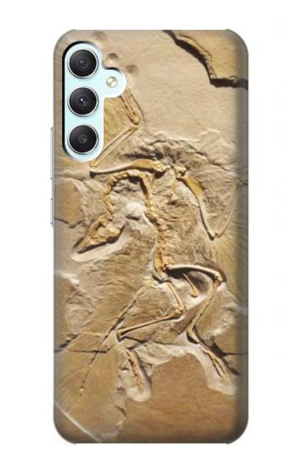 S0380 Fossile de dinosaure Etui Coque Housse pour Samsung Galaxy A34 5G
