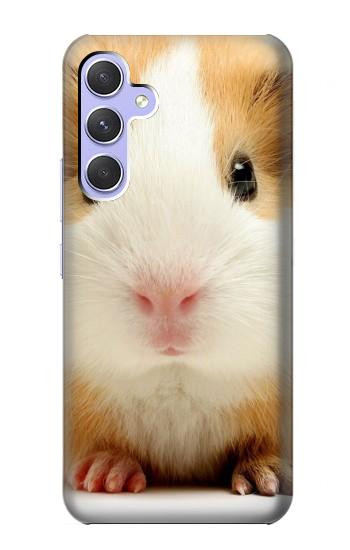 S1619 Mignon de porc Guinée Etui Coque Housse pour Samsung Galaxy A54 5G