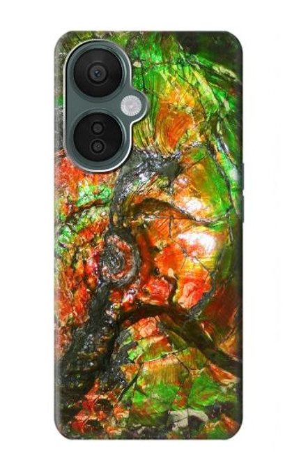S2694 ammonite Fossile Etui Coque Housse pour OnePlus Nord CE 3 Lite, Nord N30 5G