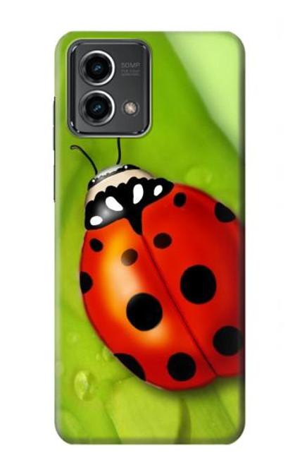 S0892 Coccinelle Etui Coque Housse pour Motorola Moto G Stylus 5G (2023)