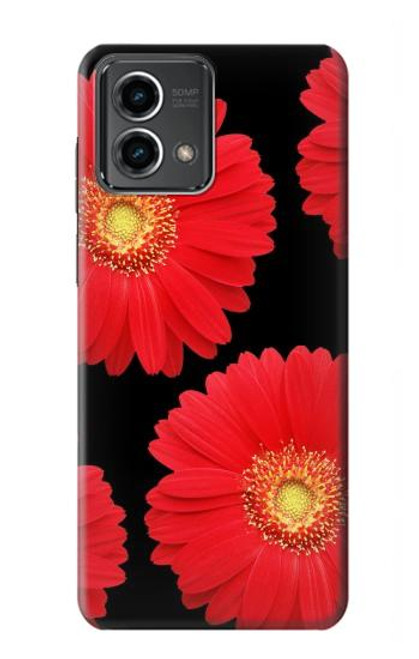 S2478 fleur rouge Daisy Etui Coque Housse pour Motorola Moto G Stylus 5G (2023)