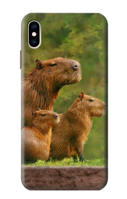 S3917 Cochon d'Inde géant de la famille Capybara Etui Coque Housse pour iPhone XS Max