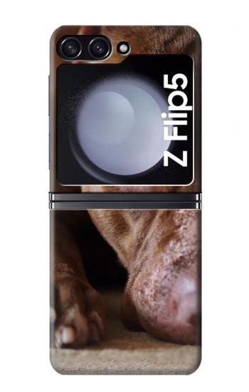 S0519 PitBull Visage Etui Coque Housse pour Samsung Galaxy Z Flip 5