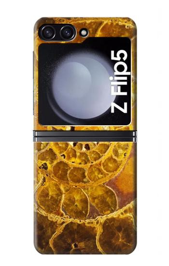 S1789 ammonite Fossiles Etui Coque Housse pour Samsung Galaxy Z Flip 5