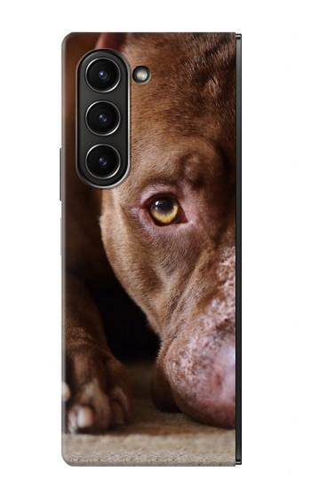 S0519 PitBull Visage Etui Coque Housse pour Samsung Galaxy Z Fold 5