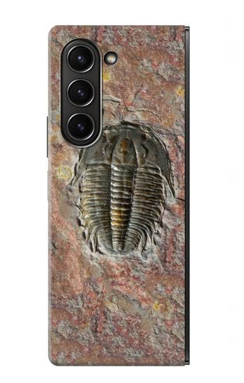 S1454 trilobite Fossile Etui Coque Housse pour Samsung Galaxy Z Fold 5