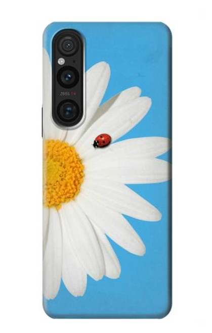 S3043 Coccinelle Daisy millésimé Etui Coque Housse pour Sony Xperia 1 V