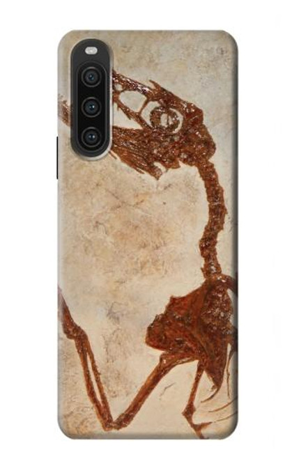 S0379 Fossile de dinosaure Etui Coque Housse pour Sony Xperia 10 V