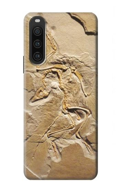 S0380 Fossile de dinosaure Etui Coque Housse pour Sony Xperia 10 V