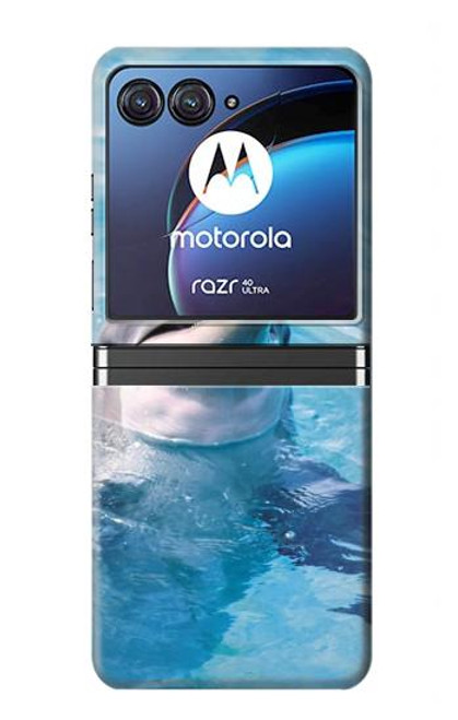 S1291 Les Dauphins en Mer Etui Coque Housse pour Motorola Razr 40 Ultra