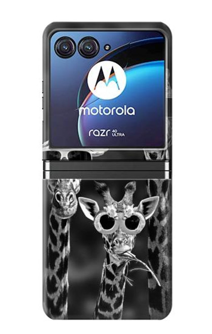 S2327 Girafes avec lunettes de soleil Etui Coque Housse pour Motorola Razr 40 Ultra