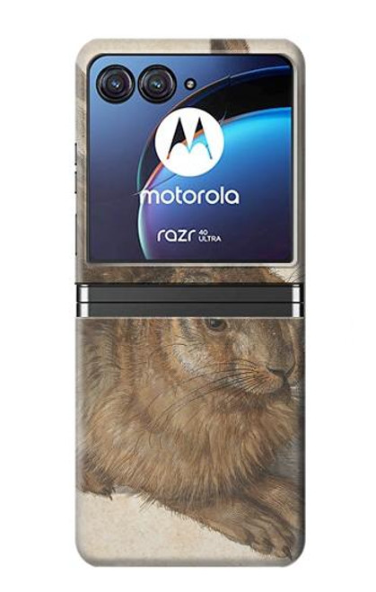 S3781 Albrecht Durer Young Hare Etui Coque Housse pour Motorola Razr 40 Ultra