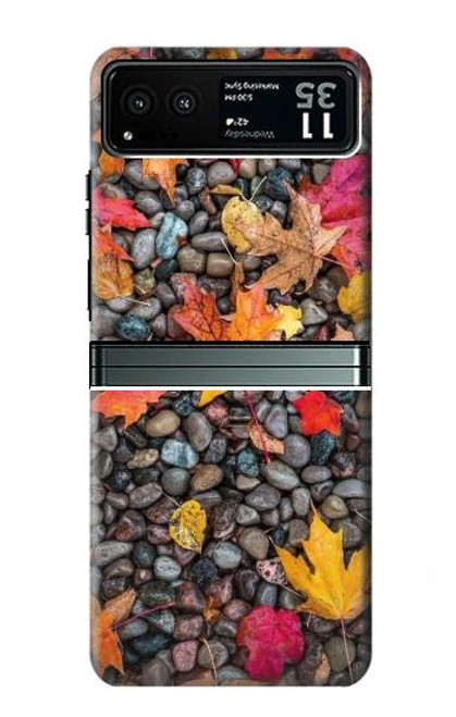 S3889 feuille d'érable Etui Coque Housse pour Motorola Razr 40