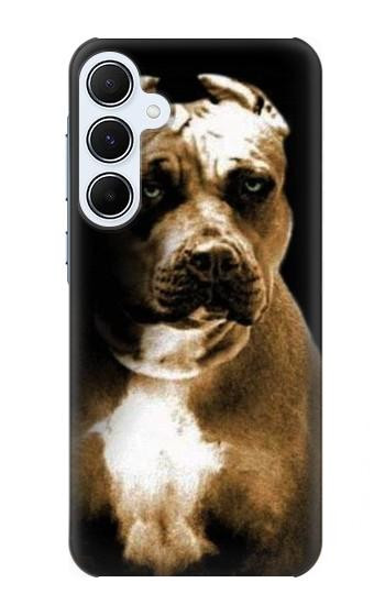 S0520 PitBull Etui Coque Housse pour Samsung Galaxy A55 5G