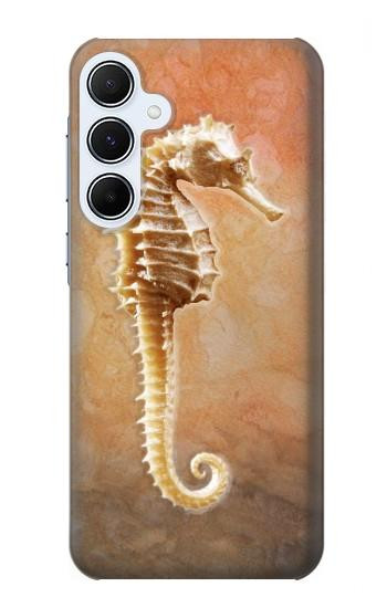 S2674 Hippocampe squelette Fossile Etui Coque Housse pour Samsung Galaxy A55 5G