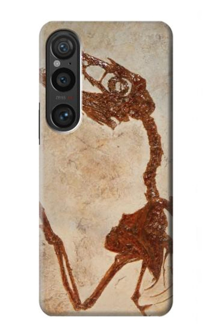 S0379 Fossile de dinosaure Etui Coque Housse pour Sony Xperia 1 VI