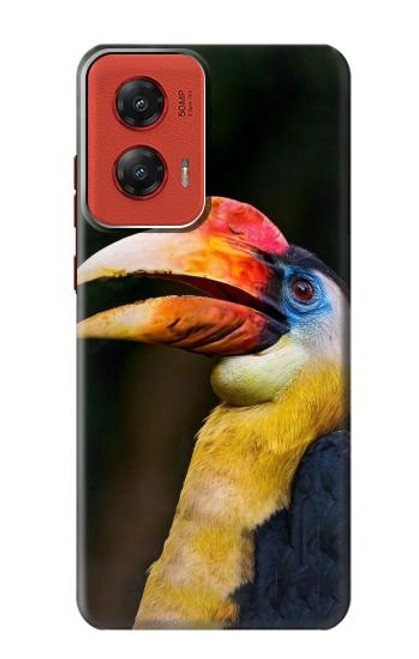 S3876 Calao coloré Etui Coque Housse pour Motorola Moto G Stylus 5G (2024)