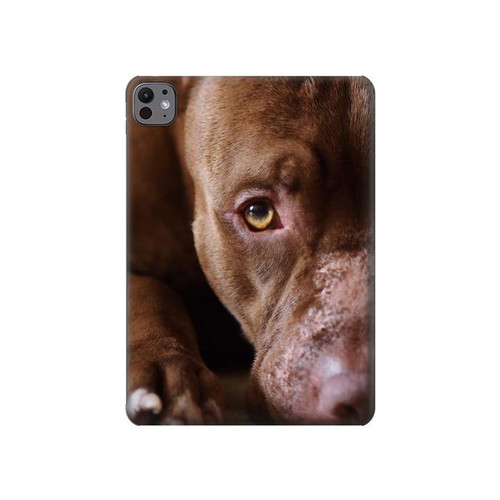 S0519 PitBull Visage Etui Coque Housse pour iPad Pro 11 (2024,2025)