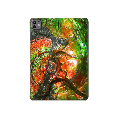 S2694 ammonite Fossile Etui Coque Housse pour iPad Pro 11 (2024,2025)