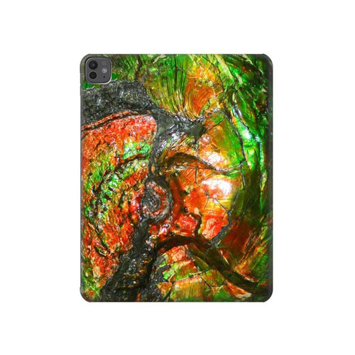S2694 ammonite Fossile Etui Coque Housse pour iPad Pro 13 (2024,2025), Air 13 2026
