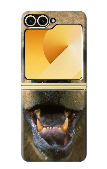 S0840 Grizzly Bear visage Etui Coque Housse pour Samsung Galaxy Z Flip 6, Flip 7 FE