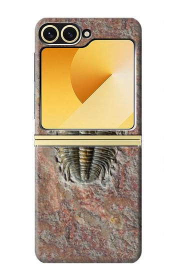 S1454 trilobite Fossile Etui Coque Housse pour Samsung Galaxy Z Flip 6, Flip 7 FE