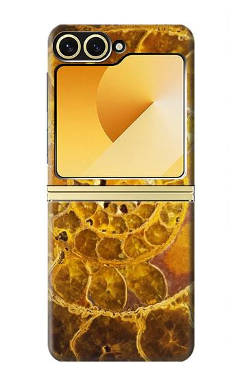 S1789 ammonite Fossiles Etui Coque Housse pour Samsung Galaxy Z Flip 6, Flip 7 FE
