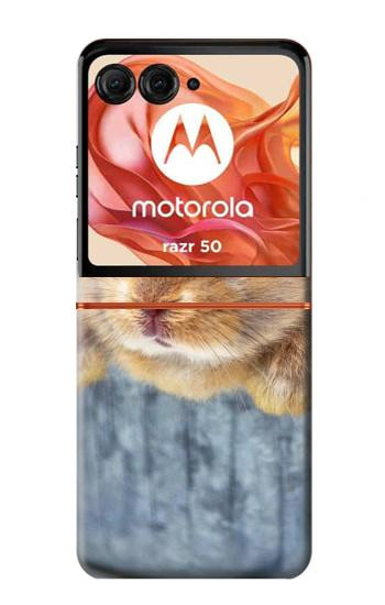 S0242 Lapin mignon Etui Coque Housse pour Motorola Razr 70,60,50, Razr (2026, 2025, 2024)