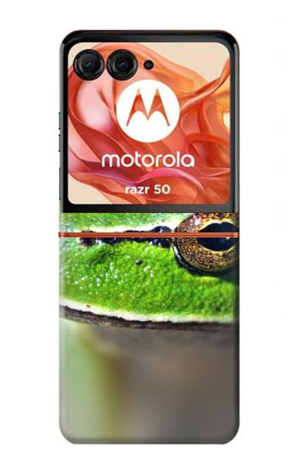 S3845 Grenouille verte Etui Coque Housse pour Motorola Razr 50