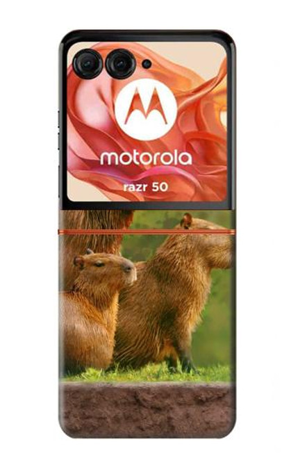 S3917 Cochon d'Inde géant de la famille Capybara Etui Coque Housse pour Motorola Razr 50