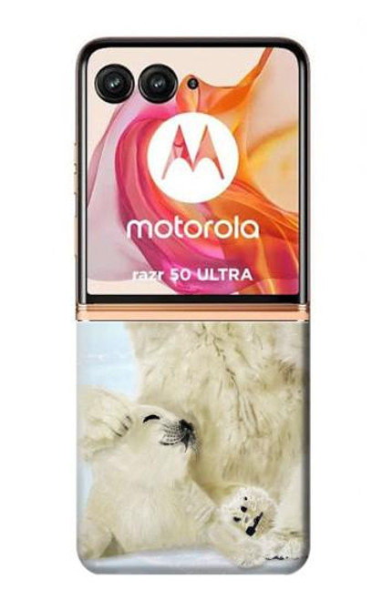 S3794 Ours polaire arctique amoureux de la peinture de phoque Etui Coque Housse pour Motorola Razr 50 Ultra