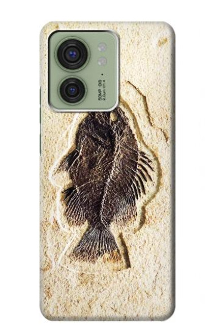 S2562 fossile poisson Etui Coque Housse pour Motorola Edge (2023), Edge 40