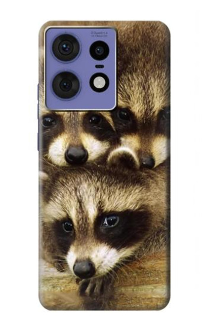 S0977 Les ratons laveurs bébé Etui Coque Housse pour Motorola Edge 50 Fusion