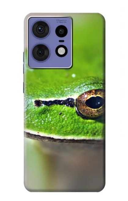 S3845 Grenouille verte Etui Coque Housse pour Motorola Edge 50 Fusion