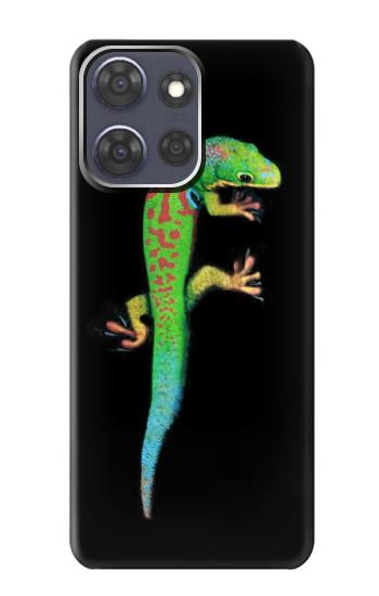 S0125 Vert Gecko Madagascan Etui Coque Housse pour Motorola Moto G Power (2025)