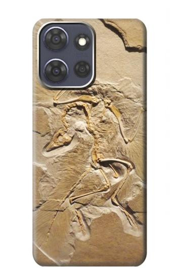 S0380 Fossile de dinosaure Etui Coque Housse pour Motorola Moto G Power (2025,2026)