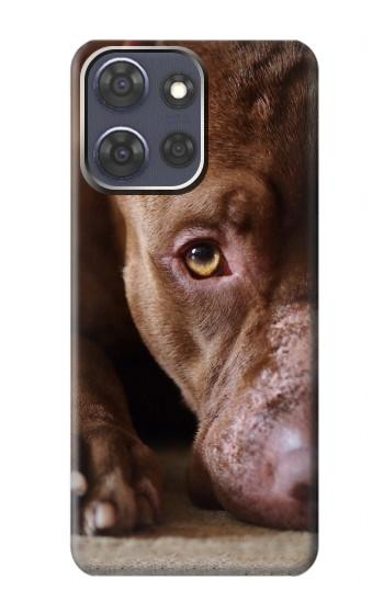 S0519 PitBull Visage Etui Coque Housse pour Motorola Moto G Power (2025,2026)